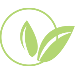 Plant based icon. 